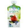 2ND FOODS ORG APPLE BLBRRY SPINACH POUCH