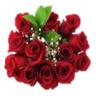 50CM DOZ ROSE BQT