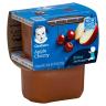 2ND FOODS APPLE CHERRY 2CT