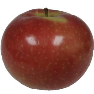 ro*tel - Apple Mcintosh Large