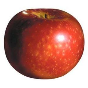 Fresh Produce - Apple Paulared Large