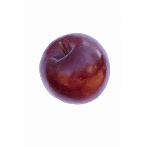 Fresh Produce - Apple Rome