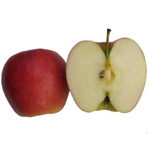 Sante Organique - Apples Ambrosia