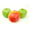 Fresh Produce - Apples Maccoun Tote