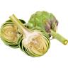 ARTICHOKE 24CT