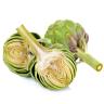 ARTICHOKE EXTRA LG
