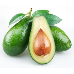 Tropical - Avocado Green