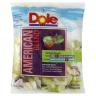 AMERICAN BLEND SALAD KIT