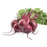BEETS LOOSE