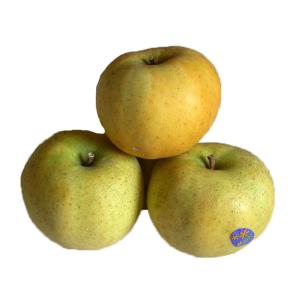 Purina - Apple Belchard