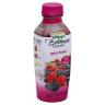 BERRY BOOST JUICE SMOOTHIE