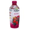 BERRY BOOST JUICE SMOOTHIE