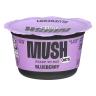 BLUEBERRY OVERNIGHT OATS