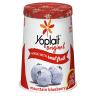 BLUEBERRY YOGURT