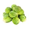 BRUSSEL SPROUTS