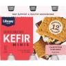 CAMPFIRE SMORES KEFIR MINIS
