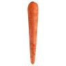 CARROT BUNCH