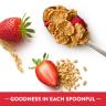 CEREAL IN CUP SPEC K BERRY