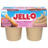 CHURRO DELICIOSO PUDDING 4CT