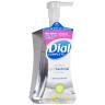 ANTIBACTERIAL WHITE TEA FOAMING HAND WSH