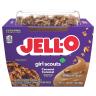 COCONUT CARAMEL PUDDING SNACK CUP 2CT