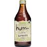 KOMBUCHA COCONUT LIME