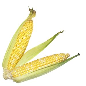 Produce - Corn bi Color