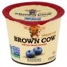 CREAMY TOP BLUEBERRY YOGURT