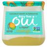 DAIRY FREE MANGO