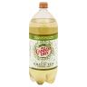 DT GREEN TEA GINGER ALE 2LTR