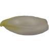 ENDIVE