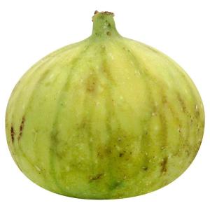 Fresh Produce - Fig White Green