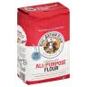 FLOUR UNBLCH