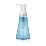 SEA MINERALS FOAMING HAND WASH