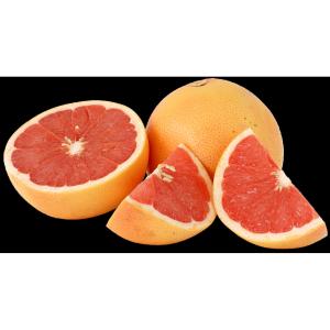 Florida - Grapefruit Ruby Large