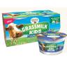 GRASSMILK BLUEBERRY YOGURT