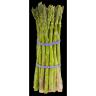 ASPARAGUS