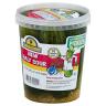 HALF SOUR PICKLES