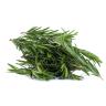 HERBS ROSEMARY