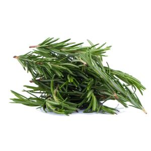 Infinite - Herbs Rosemary