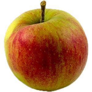Fresh Produce - Jonagold Apples