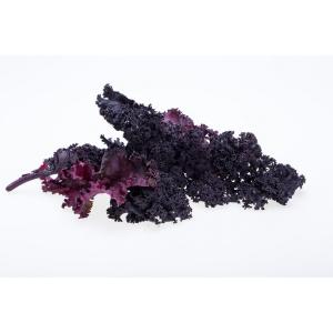 Organic Produce - Kale Purple