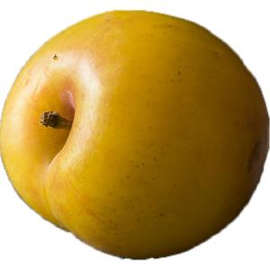 Fresh Produce - Lemon Plums Imported