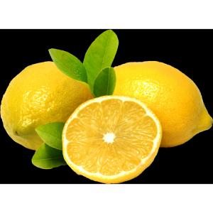 Fresh Produce - Imported Lemons