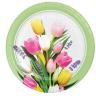 LG PLATE SPRING