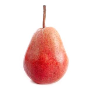 Undefined - Louise Bonne Pears