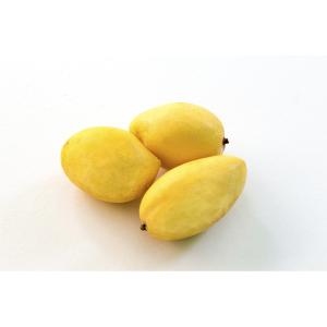 Fresh Produce - Mango Yellow