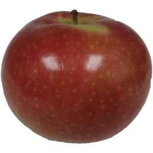 Ny State - Apples Mcintosh