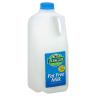 MILK SKIM
