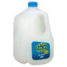 MILK SKIM